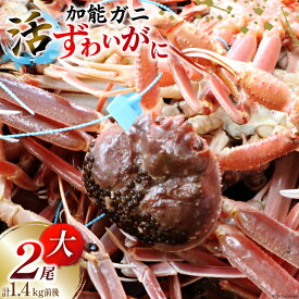 【ふるさと納税】【能登半島 漁協直送！】活 加能ガニ 2尾 (大サイズ) 計 1.4kg 前後[JF西海 石川県 志賀町 AM4226] 蟹 カニ かに 本ズワイ