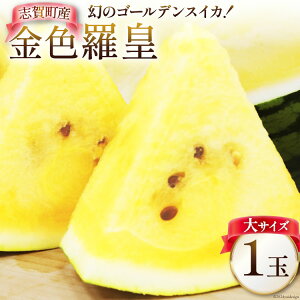 �y�ӂ邳�Ɣ[�Łz �y���Ԍ���z �X�C�J ��T�C�Y ���F ���c (���F) �y���̃S�[���f���X�C�J�z8kg �O�� 1�� [�ċg�_�� �ΐ쌧 �u�꒬ BA4126] ������ ���Z ���F�X�C�J �ʕ� �t���[�c �������� ���