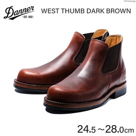 【ふるさと納税】 【能登半島地震復興支援】DANNER 紳士靴　ウェストサム　ダークブラウン【24.5cm〜28.0cm】 / STUMPTOWN渋谷店 / 石川県 志賀町 [CG4020] / 靴 シューズ 革靴 男性用 メンズ用 レザーシューズ 茶色