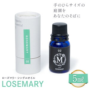 yӂ邳Ɣ[Łz GbZV IC [Y}[ VOIC 5ml 1 [Mary Jimenez ΐ쌧 u꒬ CK3044]  A}