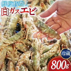 yӂ邳Ɣ[Łz ɏ㌃ÁIKXGr ① 800g [쐅Y ΐ쌧 u꒬ CM6003] KXGr KXCV  NURGr