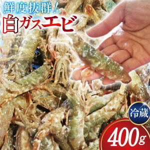 yӂ邳Ɣ[Łz ɏ㌃ÁIKXGr ① 400g [쐅Y ΐ쌧 u꒬ CM6004] KXGr KXCV  NURGr