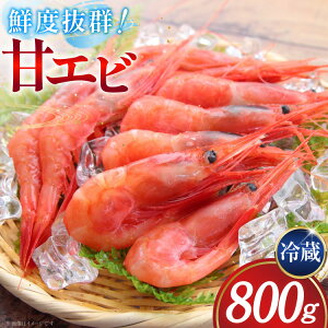 yӂ邳Ɣ[Łz ÃGr ① 800g [쐅Y ΐ쌧 u꒬ CM6006] Â ܂ Gr CV ÊCV