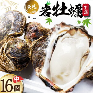 yӂ邳Ɣ[Łz yԌ蔭z R^ VR ≲y Hp  16 []C ΐ쌧 u꒬ BX4018] ≲y KL ₪ y JL