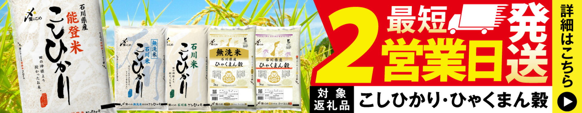 宝達志水町 こしひかり ひゃくまん穀 スピード発送