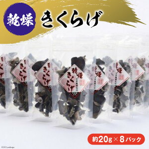 yӂ邳Ɣ[Łz  炰 Y 20g 8 160g [l ΐ쌧 Bu 38600519] LNQ ؎