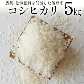 【ふるさと納税】 【期間限定発送】 米 令和7年 能登米 コシヒカリ 精米 5kg [みどりの波 石川県 宝達志水町 38601256] お米 コメ 5キロ ごはん 白米 こしひかり 美味しい 石川 能登 ◎
