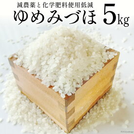 【ふるさと納税】 米 令和6年 ゆめみづほ 白米 5kg [みどりの波 石川県 宝達志水町 38600543] 精米 お米 ご飯 ごはん 美味しい