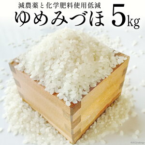 yӂ邳Ɣ[Łz yԌ蔭z  ߘa7N ߂݂Â  5kg [݂ǂ̔g ΐ쌧 Bu 38601254]   R 5L  ͂  ΐ \o r[Ly[