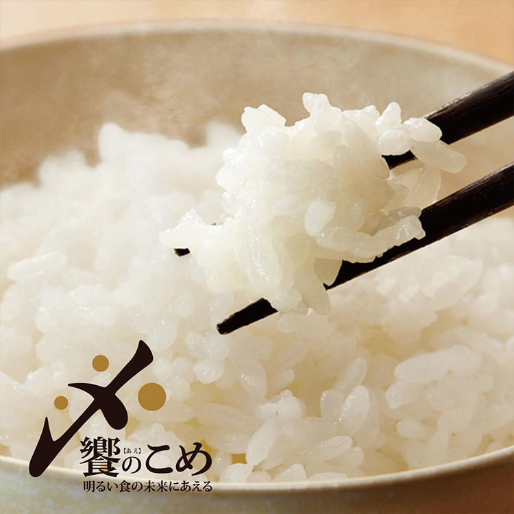 楽天市場】【ふるさと納税】米 令和5年 能登米 こしひかり 精米 2kg ×3