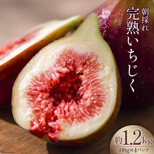 yӂ邳Ɣ[Łz yԌ蔭z   n 1.2kg (300g×4pbN) [AVbv}g ΐ쌧 Bu 38600615] ʕ  t[c r[Ly[