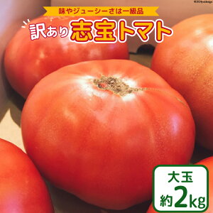 �y�ӂ邳�Ɣ[�Łz �y �󂠂� �z�u��g�}�g ��� �� 2kg [���A�V���b�v���}���g �ΐ쌧 ��B�u���� 38601138] �g�}�g �Ƃ܂� �s���� �K�i�O ��� �H�i �ΐ쌧�Y ���r���[�L�����y�[��