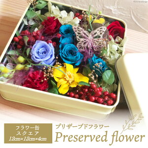 yӂ邳Ɣ[Łz vU[uht[  t[ʃXNGA 12cm×12cm×4cm [littleprincess ΐ쌧 Bu 38600808] yY CeA Ϗܗp   ԑ  