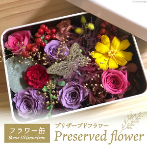 yӂ邳Ɣ[Łz  vU[uht[ 9cm×12.5cm×5cm [littleprincess ΐ쌧 Bu 38600809] yY CeA Ϗܗp   ԑ  
