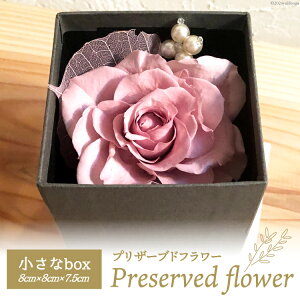 yӂ邳Ɣ[Łz  vU[uht[  box 8cm×8cm×7.5cm [littleprincess ΐ쌧 Bu 38600817] yY CeA Ϗܗp   ԑ ۑ 