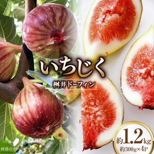yӂ邳Ɣ[Łz yԌ蔭z  h[tB 1.2kg (300g×4pbN) [SAYONSA ΐ쌧 Bu 38601068] ① C`WN t[c  ԉ Ԍ ʕ ǂ Yn