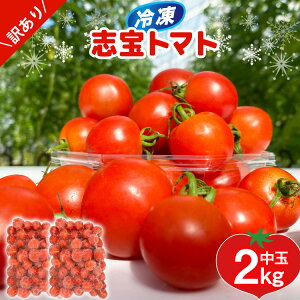 yӂ邳Ɣ[Łz󂠂  g}g Ⓚug}giVfBXC[gj 2kg [AVbv}g ΐ쌧 Bu 38601220] Ƃ܂  s KiO 2L 킯 A ƒ