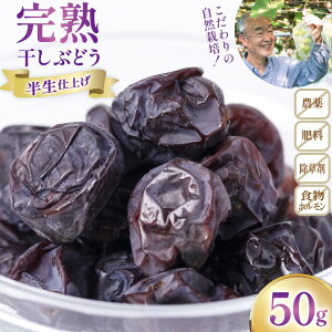 yӂ邳Ɣ[ŁzyԌ蔭z hCt[c R͔| n Ԃǂ }XJbgx[A Z~hC 50g 1 [RԂǂ ΐ쌧 Bu 38601237] hC t[c  ʕ