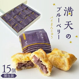 【ふるさと納税】お菓子 個包装 満天のブルーベリー 15個入 [谷口製菓 石川県 宝達志水町 38601294] 菓子 焼菓子 菓子折り 和菓子 パイ スイーツ おかし おやつ 常温 ブルーベリー