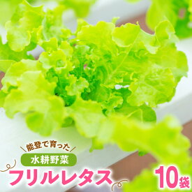 【ふるさと納税】 フリルレタス 10袋 セット [バイテックベジタブルファクトリー 石川県 中能登町 27ap0001] 野菜 レタス 葉物 葉物野菜 水耕栽培