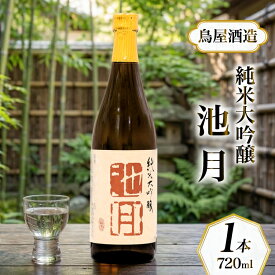 【ふるさと納税】 酒 日本酒 純米大吟醸 池月 720ml 1本 [ 道の駅織姫の里なかのと 石川県 中能登町 nk17amw270061 ] 酒 お酒 さけ 日本酒 吟醸 純米酒 晩酌 アルコール あるこーる 飲み比べ セット 国産 ふるさと納税