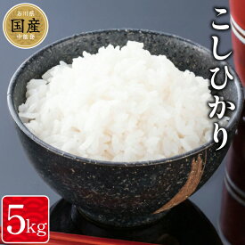 【ふるさと納税】 米 令和7年産 中能登町産 能登米コシヒカリ 5kg [道の駅織姫の里なかのと 石川県 中能登町 nk17amw270066] こめ お米 白米 精米 こしひかり コシヒカリ 能登 kome 5キロ