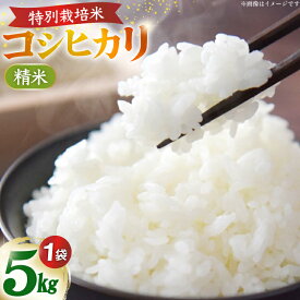 【ふるさと納税】 米 能登米 令和7年 コシヒカリ 5kg 1袋 [ 久保農園 石川県 中能登町 nk17bim770000 ] お米 米 こめ 白米 コメ ご飯 ごはん 国産 ブランド米 おにぎり 国産 ふるさと納税 5キロ