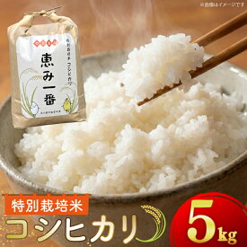 【ふるさと納税】 米 令和7年産 特別栽培米 コシヒカリ 5kg 精米 [ハッピーダイヤモンド 石川県 中能登町 nk17bjo780000] お米 こめ コメ kome こしひかり 白米 5キロ 能登 7年産