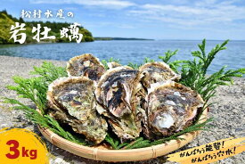 【ふるさと納税】松村水産の岩牡蠣（加熱用）