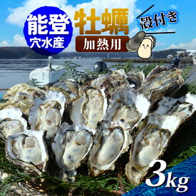 【ふるさと納税】能登穴水の牡蠣（殻付）加熱用 3kg |奥能登 能登半島 冷蔵 真牡蠣 3キロ ナイフ付き 肉厚 殻付き 海鮮 魚介類 海産物 バーベキュー BBQ 貝 オイスター 送料無料