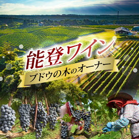 【ふるさと納税】能登ワイン ぶどうの木オーナー【令和8年 収穫体験】