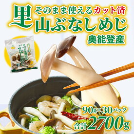 【ふるさと納税】そのまま使えるぶなしめじ