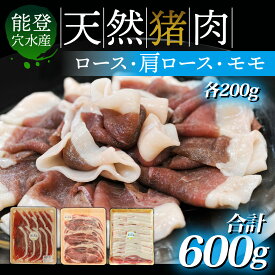 【ふるさと納税】穴水町産 天然 猪肉セット 600g ｜ ジビエ ジビエ肉