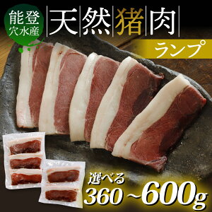 yӂ邳Ɣ[ŁzyIׂeʁz\o Y VR vi120g×3`5^v360g`600gj/ \o \o   ɂ  WrG v  CmVV ̂ Ⓚ VR ē Ă