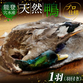【ふるさと納税】能登 穴水産 天然「鴨」（羽付き）1羽｜奥能登 能登半島 かも カモ お肉 鴨肉 天然 冷凍 国産 羽つき 食品 お取り寄せ