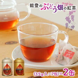 【ふるさと納税】能登のぶどう畑の紅茶 ティーバッグ（3.5g × 7包）× 2缶 ～能登ワイン用ぶどうの葉で作りました～