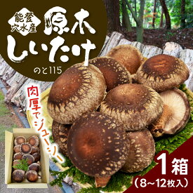 【ふるさと納税】【先行予約】奥能登 穴水産 原木しいたけ (のと115)8～12枚【2027年1月以降順次発送】/ 奥能登 能登半島 国産 椎茸 生しいたけ きのこ キノコ 原木 肉厚 食べ応え 送料無料