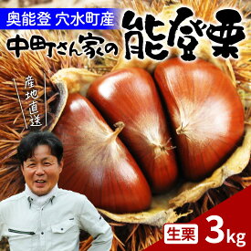 【ふるさと納税】【先行予約】中町栗園の能登栗3kg～能登の大地で育った能登栗～【2026年9月下旬以降順次発送】/ 能登半島 奥能登 くり 生栗 マロン 和栗 焼き栗 栗ごはん 焼き栗 国産 果物 送料無料