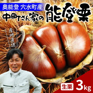 yӂ邳Ɣ[ŁzI̔\oI3kg`\ȏnň\oI` / \o \o  I } aI ĂI I͂ ĂI Y ʕ 