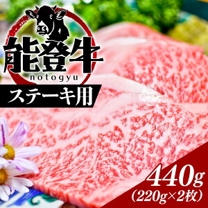 yӂ邳Ɣ[Łz\õuhŁI \o Xe[Lp 440gi220g × 2j| Ⓚ   \o \o Y Xe[L uh a јa јa 瑺 