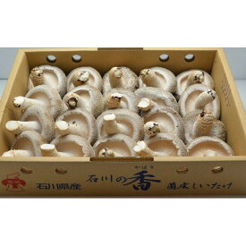 【ふるさと納税】【復興支援】能登の大地と大自然が育んだプリップリ♪の「能登産しいたけ1kg」 | しいたけ 椎茸 きのこ 野菜 やさい 食品 人気 おすすめ 送料無料