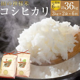 【ふるさと納税】【能登半島地震復興支援】田の神様米(コシヒカリ)3kg×2袋×6ヶ月 | 石川県 能登町 石川 能登 石川県能登町 ふるさと 納税 支援 支援品 返礼 食べ物 取り寄せ お取り寄せ ご当地 ご当地グルメ お米 米 白米 国産米 ご飯 特産品 名産 特産 名産品 こしひかり