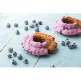 【ふるさと納税】【能登半島地震】ブルーベリードーナツ詰め合わせ　12個 | 菓子 おかし スイーツ デザート 食品 人気 おすすめ 送料無料