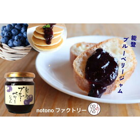 【ふるさと納税】【復興支援】能登の食卓セット | 加工食品 醤油 ぽん酢 塩 いしり カレー 能登いか ブルーベリー 米飴 能登町 詰め合わせ セット 人気 おすすめ 送料無料 グルメ