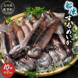 【ふるさと納税】【復興支援】船凍するめいか 約2kg | 石川県 能登町 石川 能登 支援品 返礼品 スルメイカ 冷凍 いか イカ お取り寄せグルメ ご当地グルメ