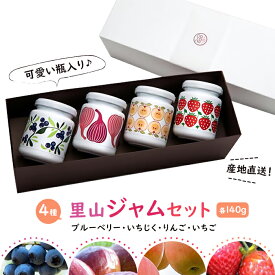 【ふるさと納税】【復興支援】notono 里山ジャムセット | 石川県 能登町 石川 能登 楽天ふるさと 支援品 ブルーベリー ブルーベリージャム ジャム イチゴジャム いちごジャム 特産品 りんごジャム いちじくジャム フルーツジャム 詰め合わせ