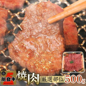 yӂ邳Ɣ[ŁzyxzyA4EA5z\o ēpI 500g | ΐ쌧 \o ΐ \o yVӂ邳 xi   \o