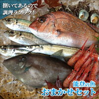 石川県のブランド魚 魚介 まとめ Room 欲しい に出会える