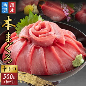 【ふるさと納税】【最新鋭の冷凍技術 刺身用】本まぐろ 中トロ 500g（柵どり）[A-107007] / まぐろ マグロ 鮪 本マグロ 本まぐろ 刺身用 お刺身 500g 柵どり 中トロ まぐろ丼 国産 冷凍 送料無料