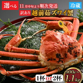 【ふるさと納税】【先行予約】[捌き済選択可][到着日指定可]【訳あり】蟹好きが唸る老舗カニ料理店の越前茹ズワイ蟹 大サイズ(900g～1.1kg) [L-085031] / カニ かに かにボイル かにみそ 越前ガニ ズワイガニ ずわい蟹 ズワイガニ 姿 捌き 福井 国産 冷蔵 送料無料